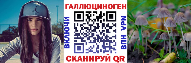 Галлюциногенные грибы ЛСД blacksprut зеркало Коммунар сколько стоит